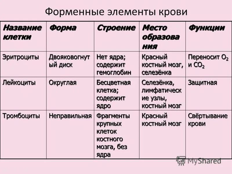 Какую функцию выполняют лейкоциты тромбоциты. Таблица форменные элементы крови тромбоциты эритроциты лейкоциты. таблица эритроциты лейкоциты лейкоциты тромбоциты. таблица название клетки эритроциты лейкоциты тромбоциты. форменные элементы крови эритроциты лейкоциты тромбоциты их функции.