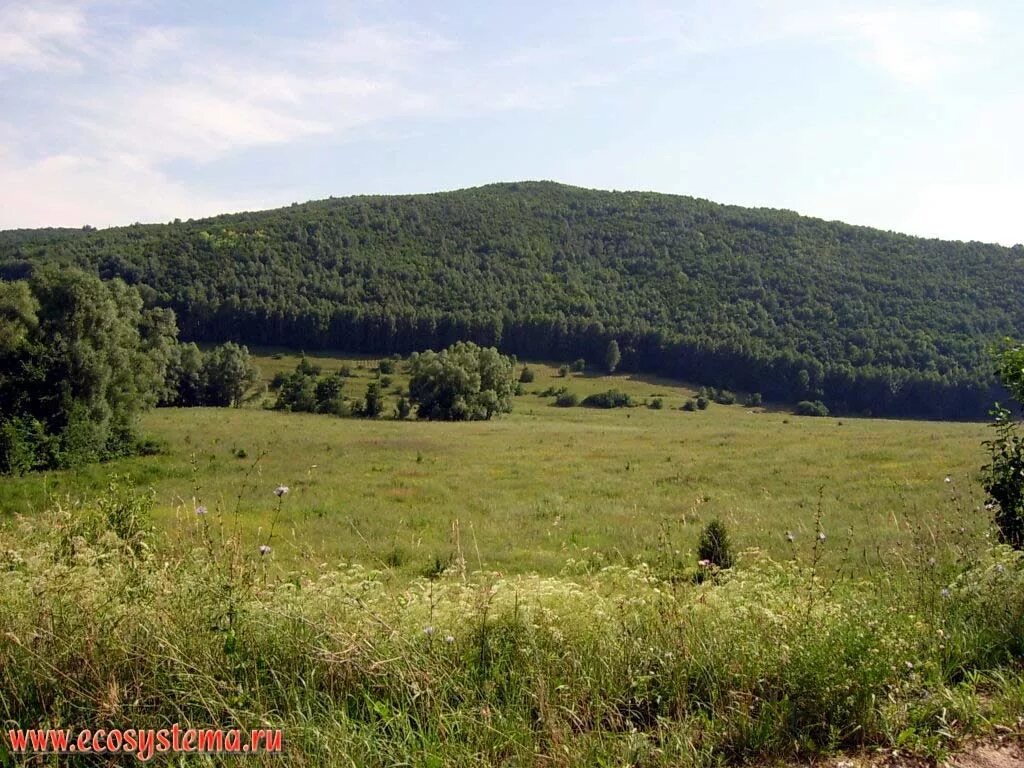 Равнины Самарской области. Земная поверхность Самарской области. Возвышенности Самарской области.