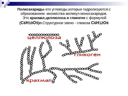 Полисахариды что это