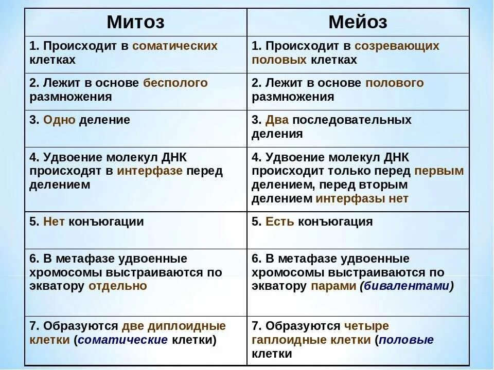 Отличия митоза от мейоза 1. Деление клетки митоз и мейоз таблица. Характеристика митоза и мейоза таблица. Тип деления митоза и мейоза таблица.