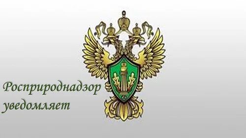 Федеральный сайт природопользования. Росприроднадзор эмблема. Федеральная служба по надзору в сфере природопользования логотип. Росприроднадзор эмблема без фона. Росприроднадзор вектор.