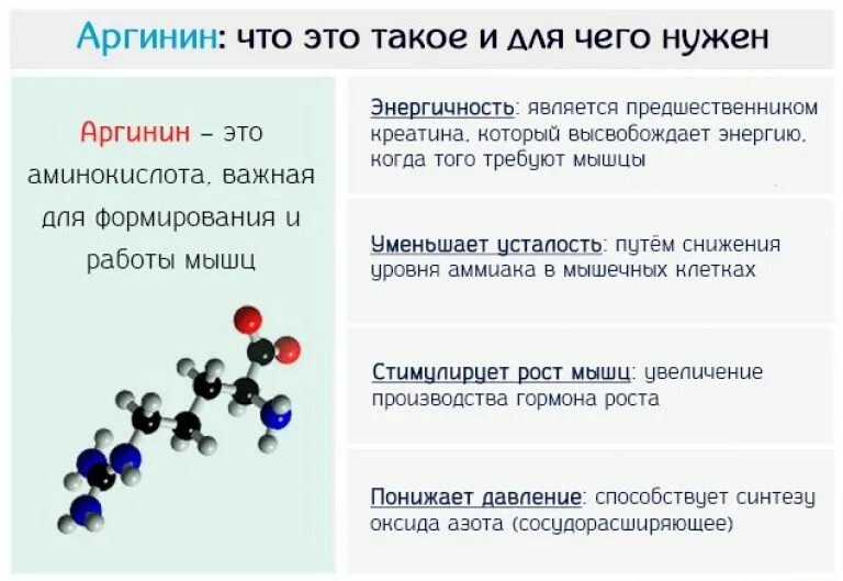 Аргинин функции в организме. Роль аргинина в организме. Аргинин аминокислота. Аргинин функции.