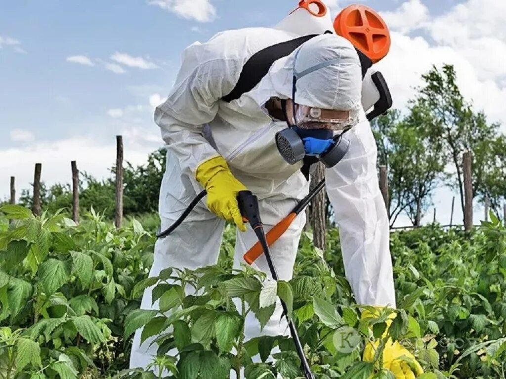 пестициды и гербициды. загрязнение почвы пестицидами. загрязнение почвы сельским хозяйством. пестициды и гербициды. применение пестицидов и агрохимикатов.
