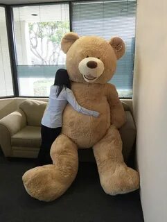 Big teddy