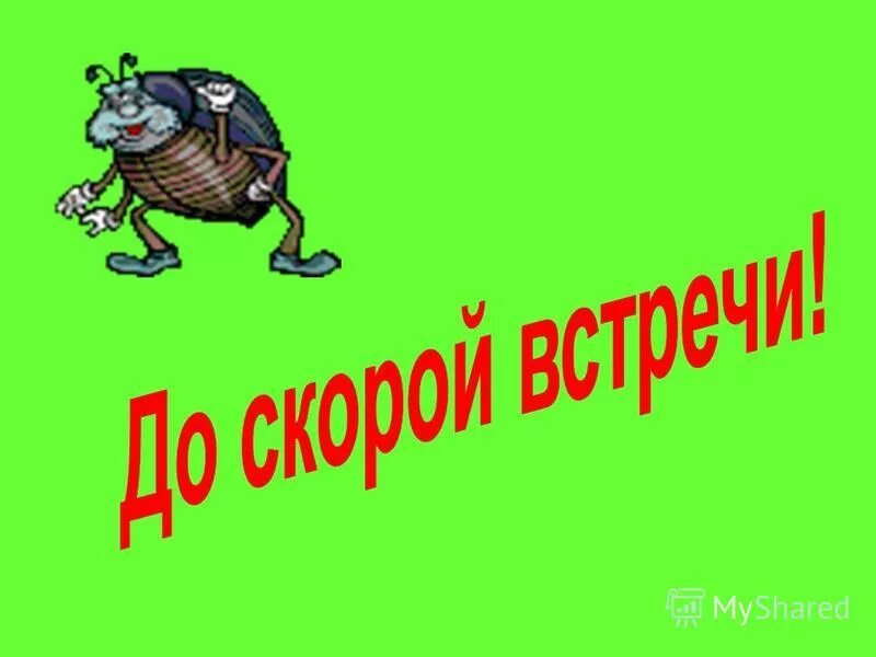 Скоро выйдут муравьи на дорогах