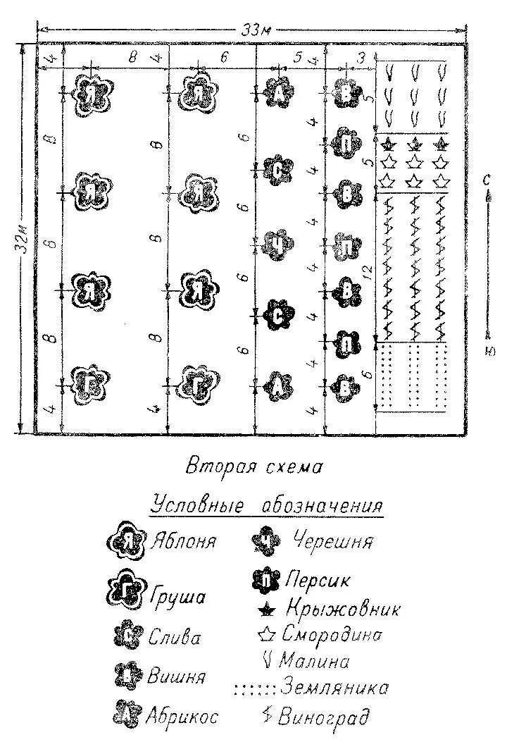 На каком расстоянии сажают под. Схема посадки плоловыхьдеревьев. Схема посадки плодовых деревьев на участке. Схема посадки плодового сада. Схема высадки плодовых деревьев и кустарников.