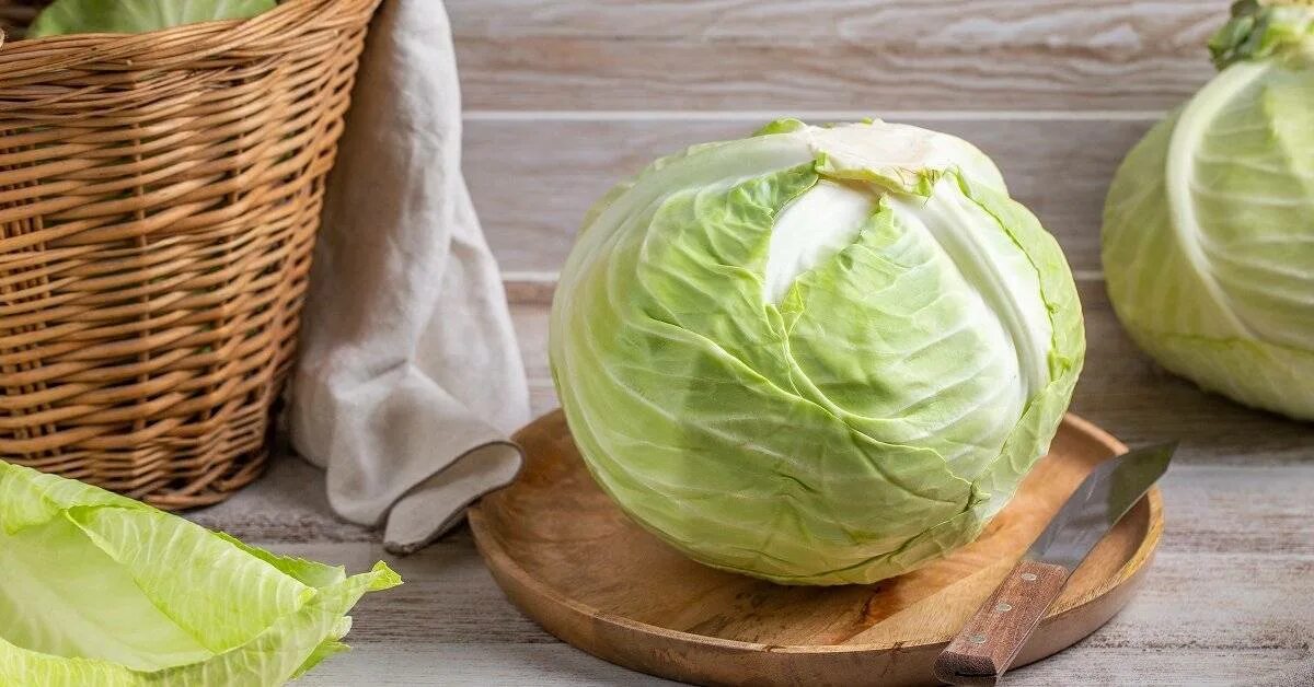 Сорт капусты для квашения на зиму какой. Капуста белокочанная для квашения сорта. капуста белокочанная зима f1. капуста для квашения лучшие. капуста для соления сорта.