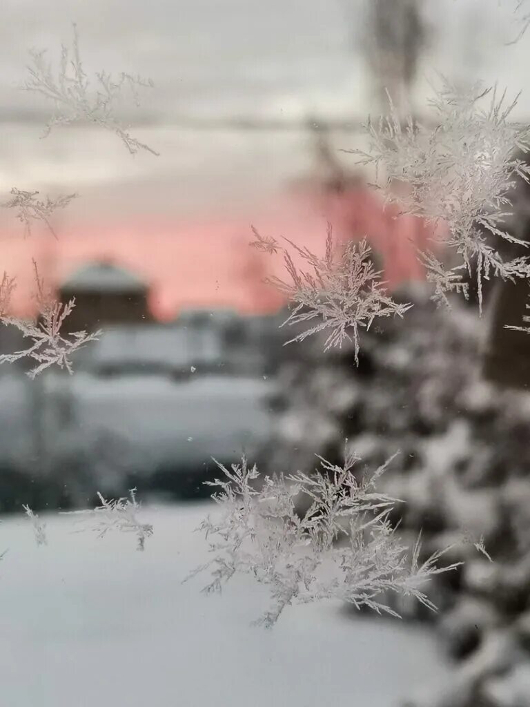 И снова выпадет снег. Натуральные фотографии о зиме. Снег остановись. Готесса холод снег. Остановите снегопад.