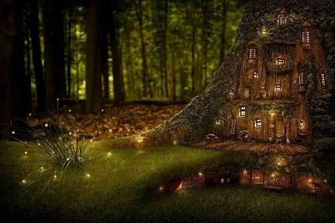 Fairy forest