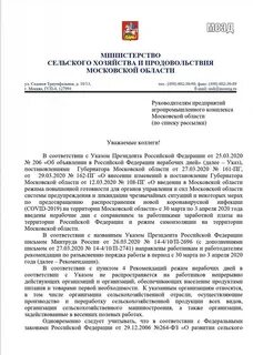 Хозяйство письма
