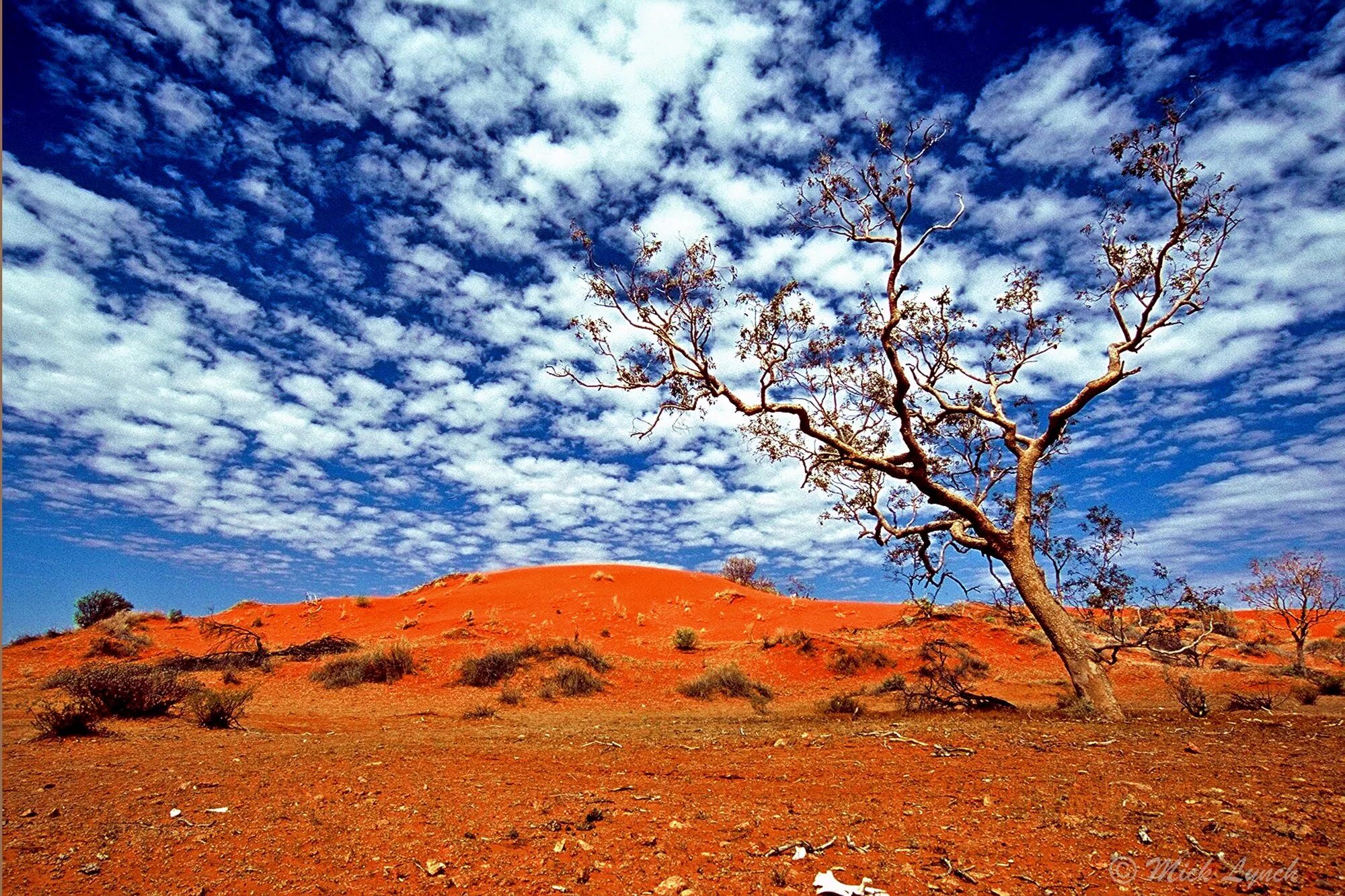 Большая Песчаная пустыня в Австралии. Симпсон Дезерт национальный парк Австралии. Пустыня гибсона австралия
