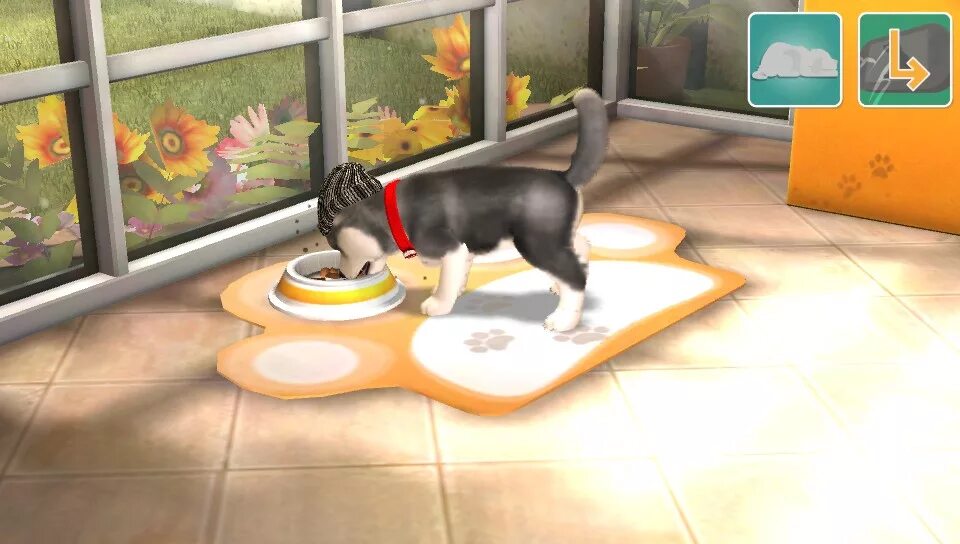 Игра pet tycoon. Твой щенок игра. Игра pets. Игра dogz 7. Игра питомцы.