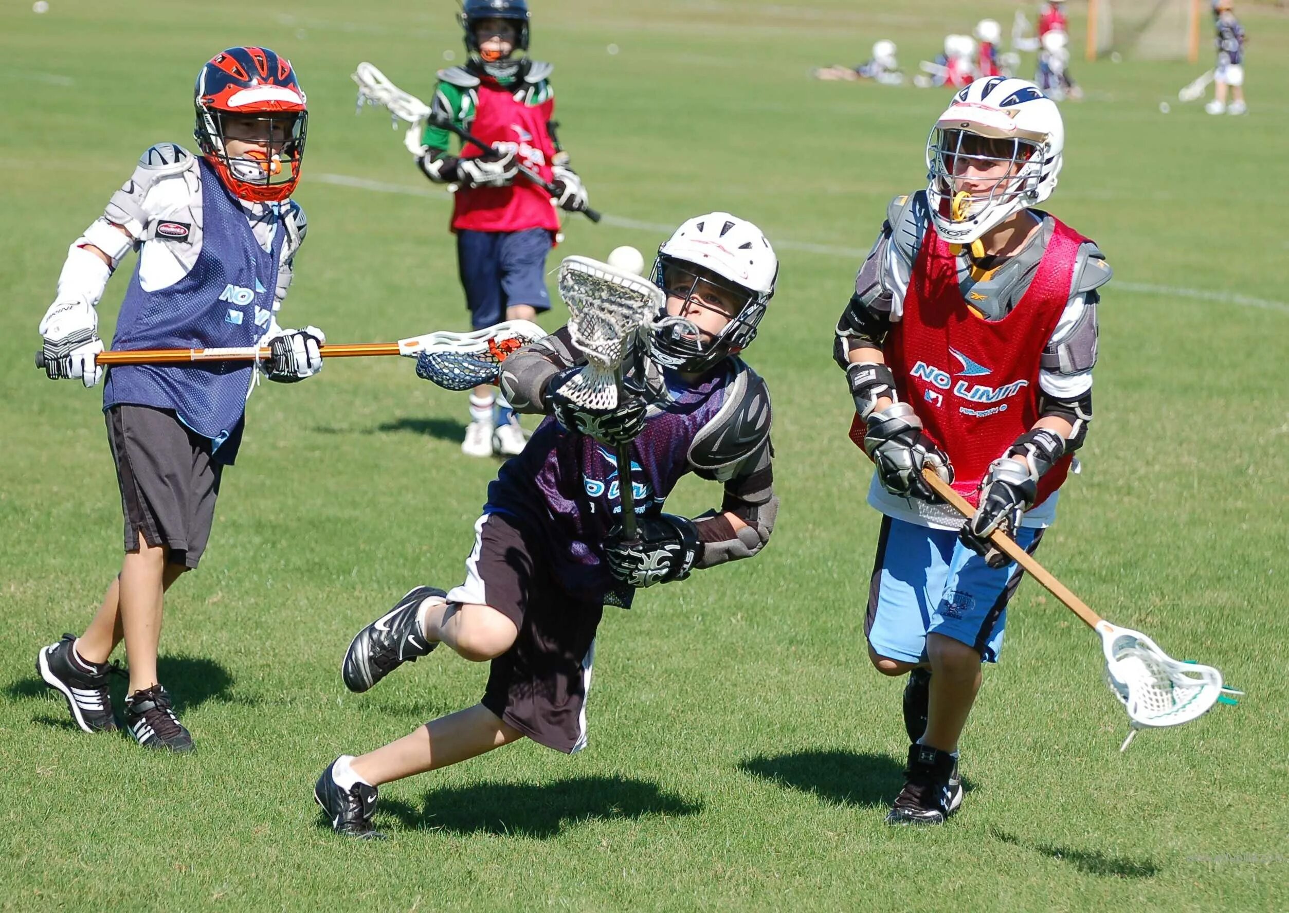 Sports unit. Лакрос. Лакросс Экси. Лакросс Канада. Lacrosse вид спорта.