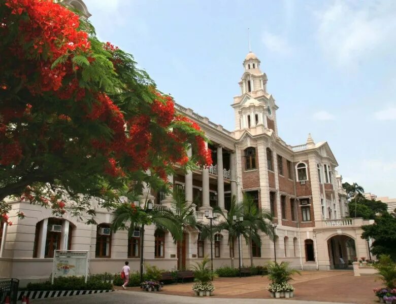 The university of hong kong