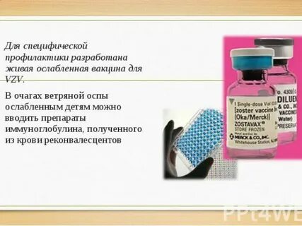 Что вводят в организм при вакцинации оспы