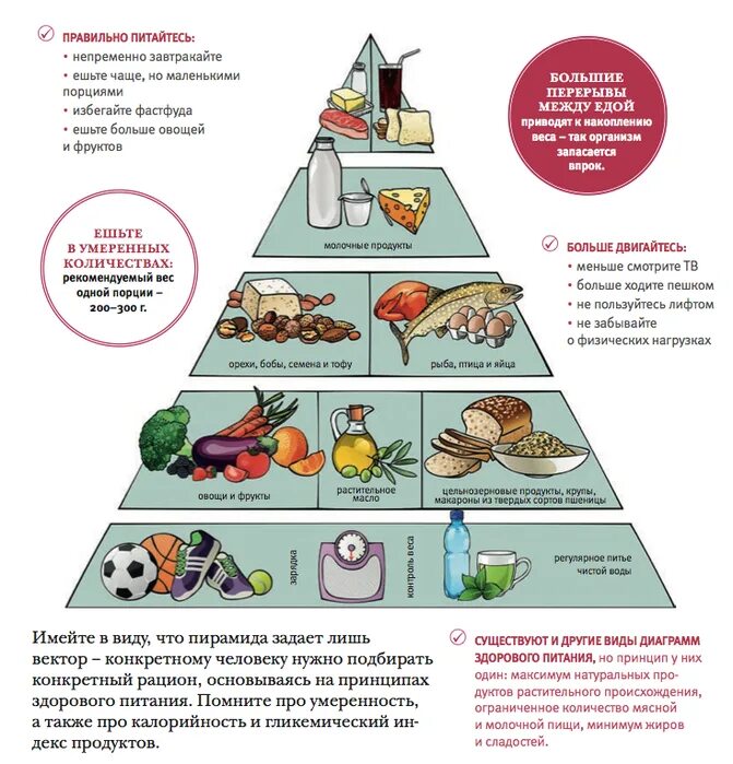 Пирамида правильного питания. Рацион здорового питания. Принципы здорового питания. Рацион правильного питания пирамида. Какие продукты питания можно есть