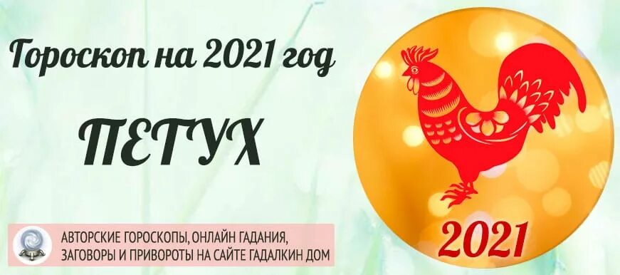 Скорпион петух. Петух 2021. Овен петух. Гороскоп на 2021 год для петуха. Петух в год быка 2021.