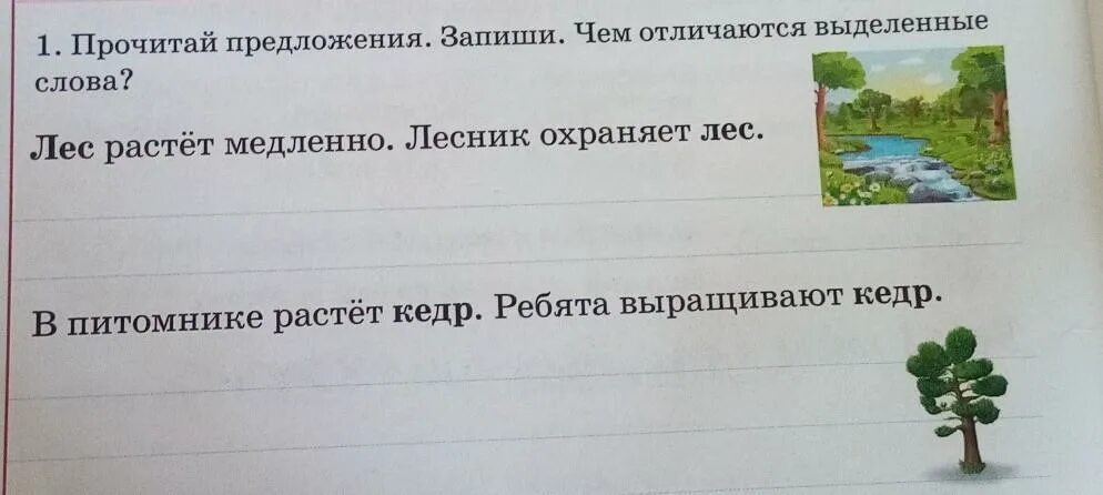 Предложение со словом лес. Предложение со словом лес и Лесник. Предложение с лесными словами. Составить предложение со словом лес.