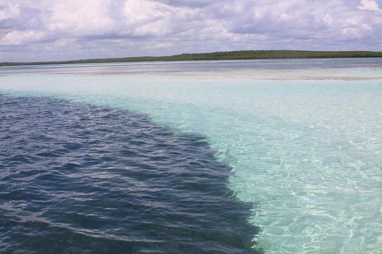 Воды тихого океана. Галоклин Балтийское море. Граница Карибского моря и Атлантического океана. Карибское море Атлантический океан. Тихий океан и Атлантический океан смешиваются граница.