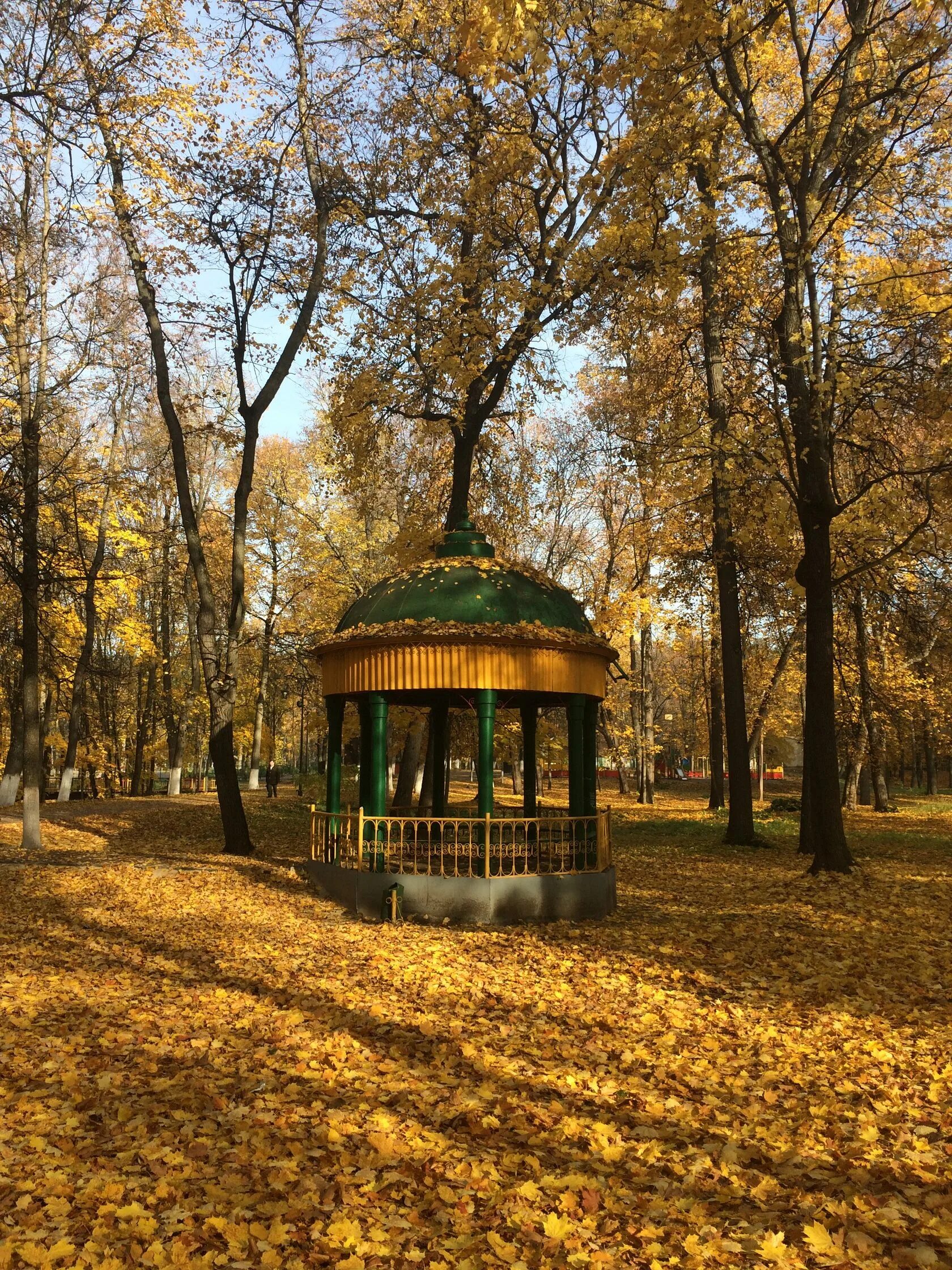 Культура города выкса. Выкса парк Лебединка. Город Выкса парк. Выксунский парк культуры. Парк Кио Выкса.