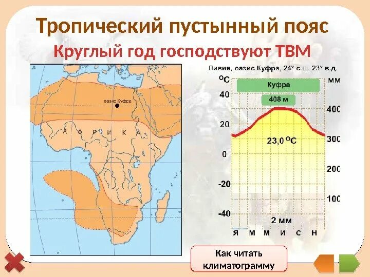 Амплитуда температур субэкваториальный дакар африка. Амплитуда температур субэкваториальный дакар африка