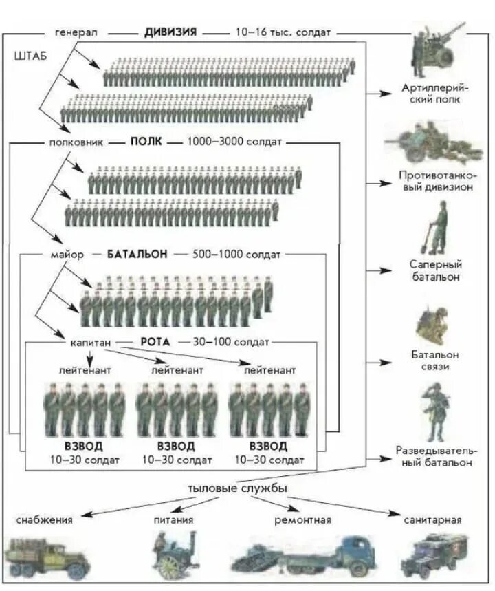 Воинские соединения рф. Численность роты батальона полка дивизии.