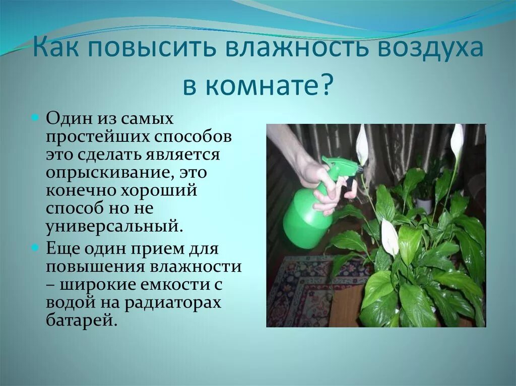 В условиях сильной влажности. Способы повышения влажности. Способы повышения влажности воздуха. Влажность воздуха повышена. Способы увеличения влажности воздуха.