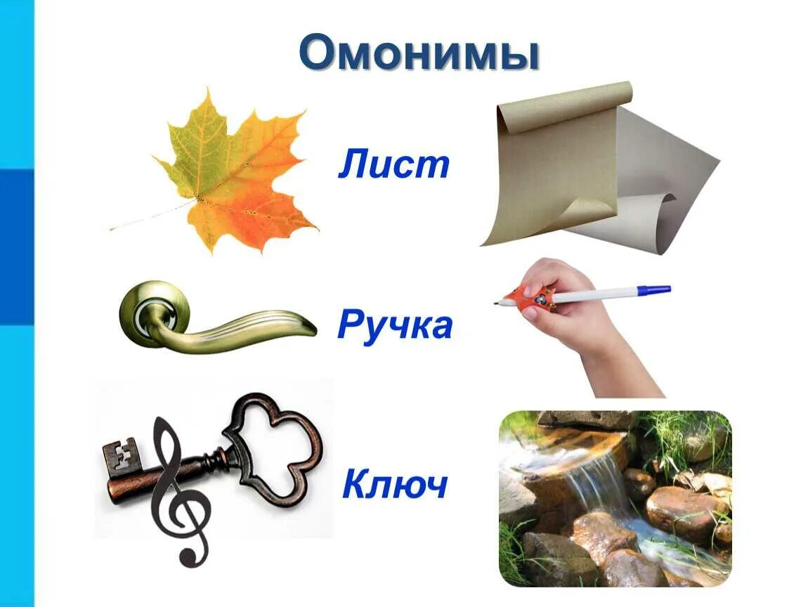 Что такое омонимы в русском 5 класс. Омонимы. слова омонимы. омон слово. омонимы для дошкольников.