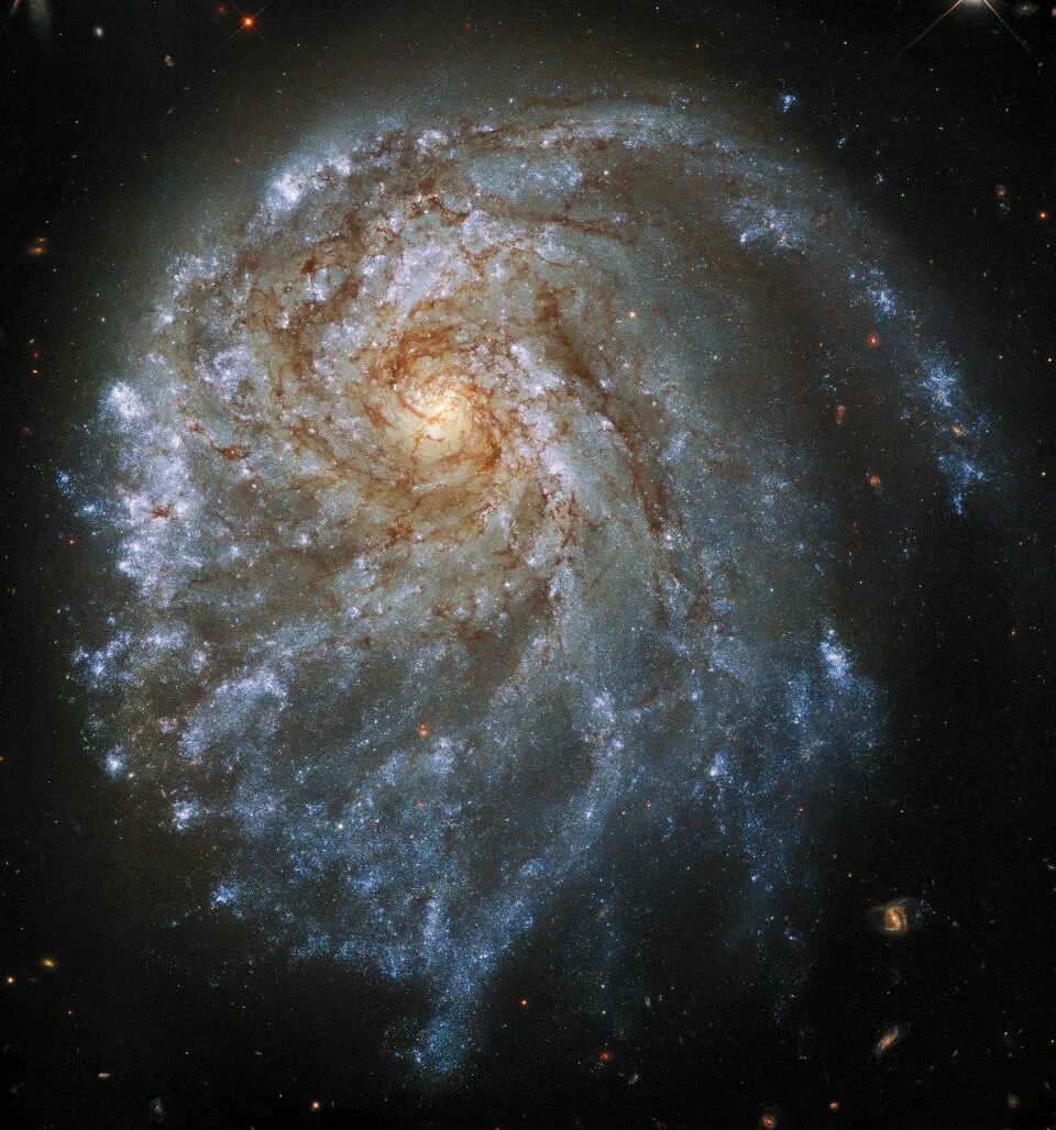 Hubble capture 655 MILLION pixel image of a nearby galaxy showing its 40 billion