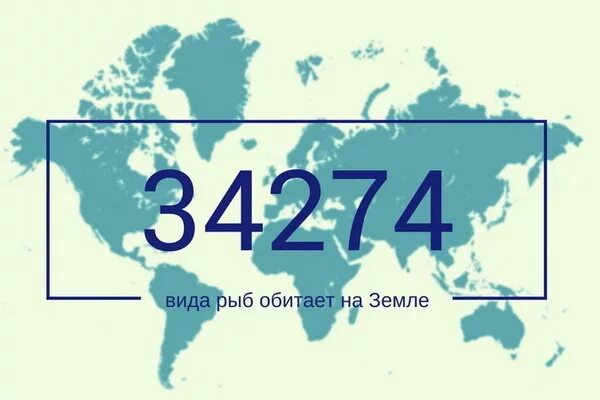 Тело рыб покрыто чешуей. Сколько рыб на земле количество. Потребление рыбы. Рыбы пресноводные и морские для детей. Разновидности рыб морских.