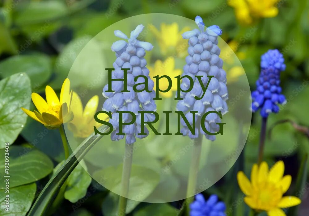 Spring спринг. Хэппи спринг. happy spring day. happy spring equinox. happy spring pictures.