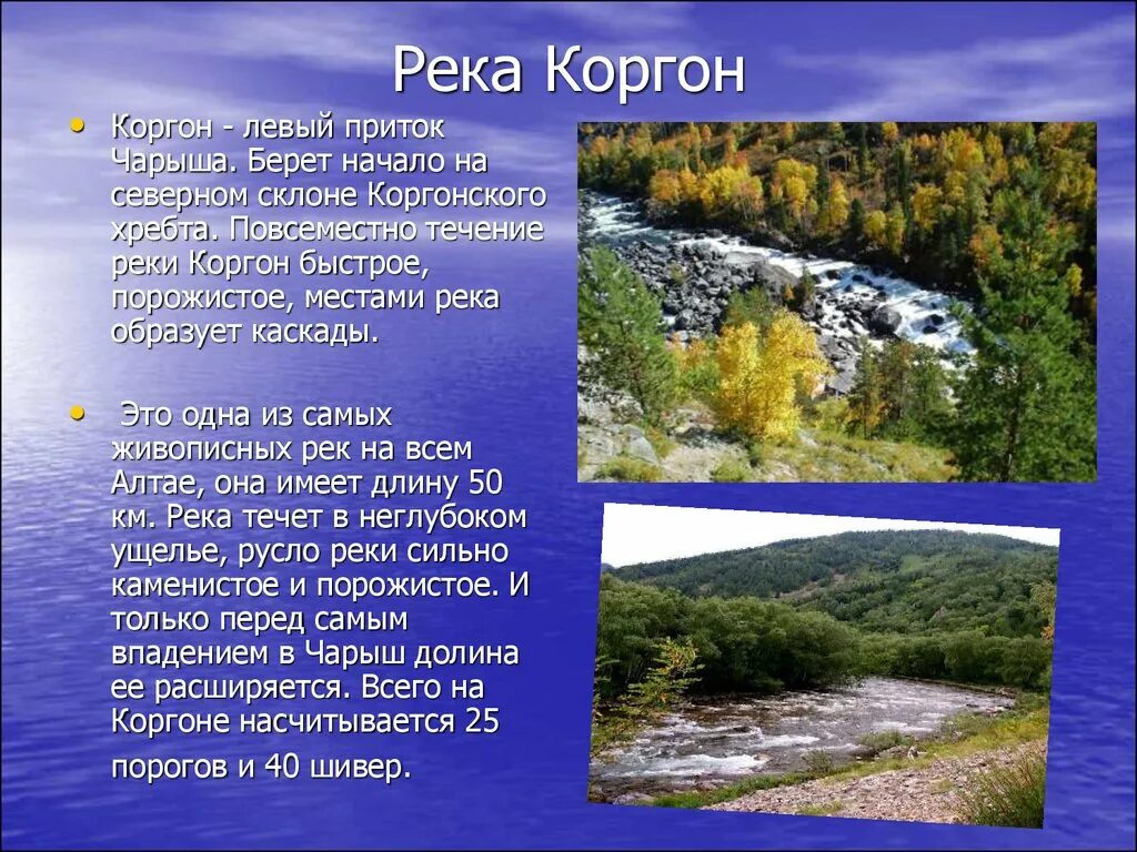 Сообщение про алтайский край. Реки и озера Алтайского края. Реки Алтайского края река Чарыш. Рассказ о реке Алтайского края. Притоки реки Чарыш.