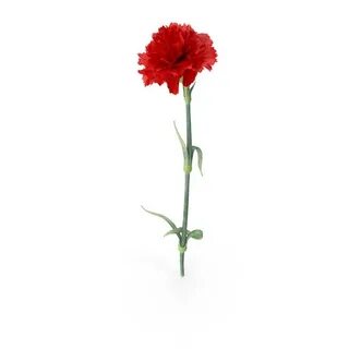 Гвоздик 3 4