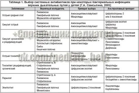 Бактериальная инфекция путь