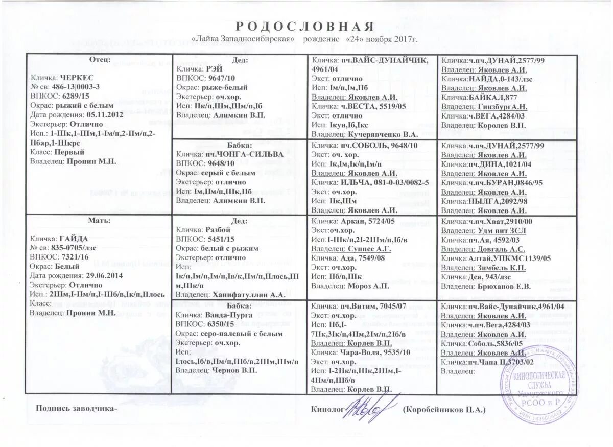 Клички охотничьих собак лаек. Кличка зсл кобель. Клички собак западно сибирская лайка. Лайка западно-сибирская имена. Клички зсл девочек охотничьих.