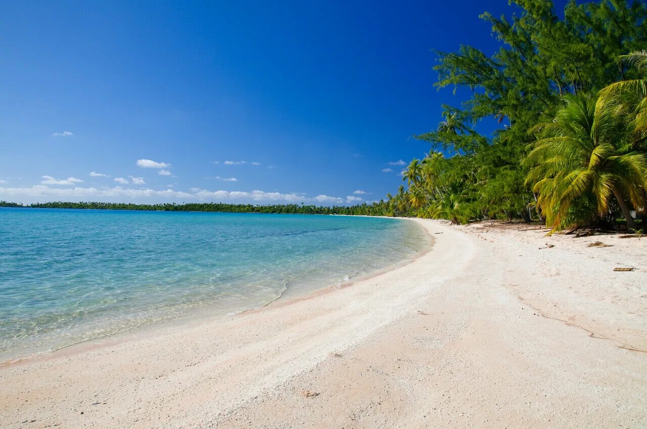 барбадос 4к. Gkzo. песчаный пляж. остров барбадос. атлантический океан флорида.