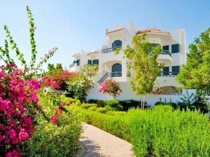 Solymar naama bay 4 шарм отзывы