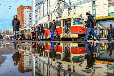 Полторы недели