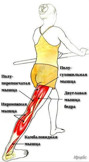 Боль в икре и под коленом