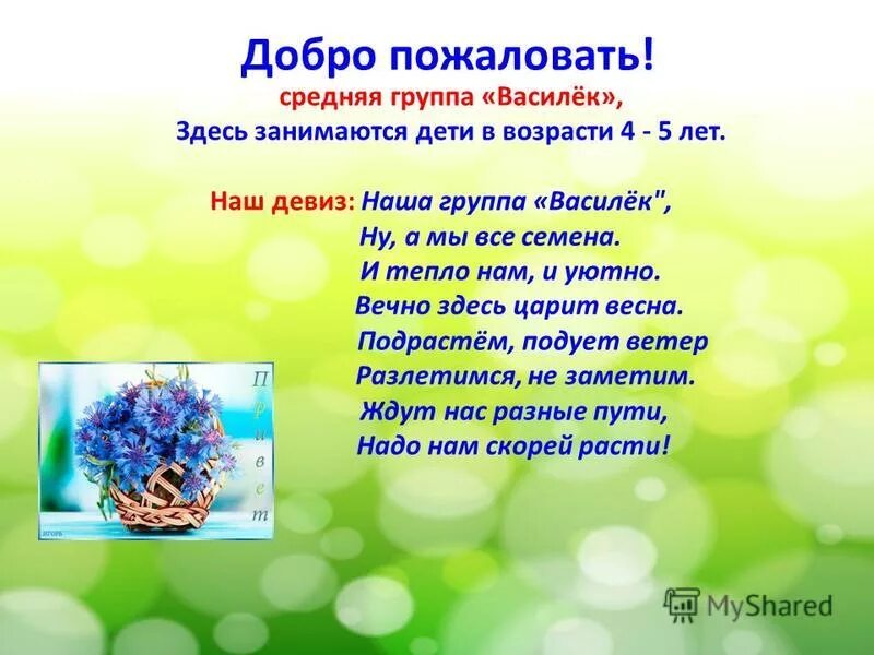 Девиз группы васильки в детском саду. Девиз группы Василек в детском саду. Речевка для отряда васильки. Девиз для отряда васильки. Слоган группы