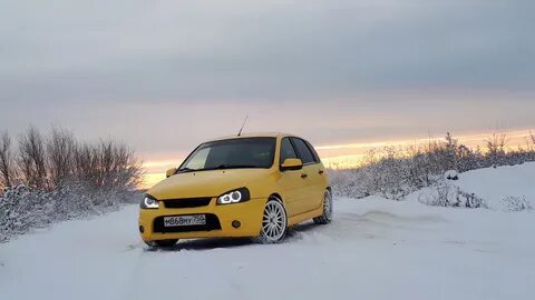 Калина 1 озон