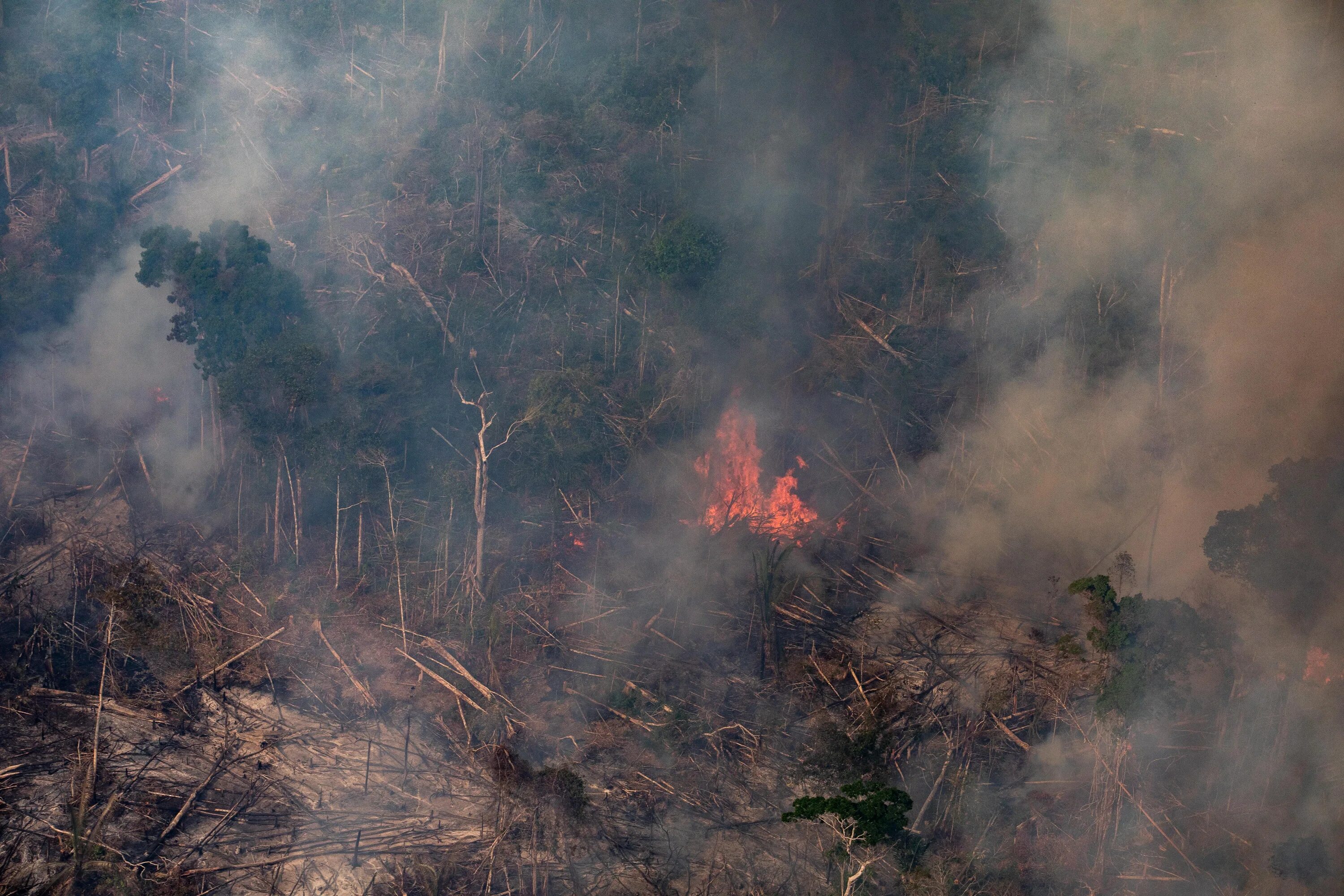 Fire on the amazon 93 го