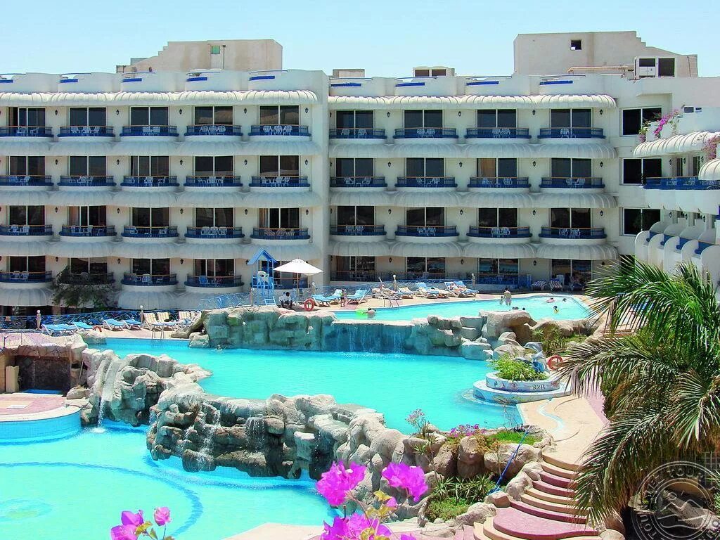 Seagull beach resort 4 египет. Sea gull хургада. Seagull тур. Отель sea gull хургада. Sea gull хургада.