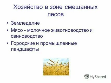 Характеристика природных зон презентация
