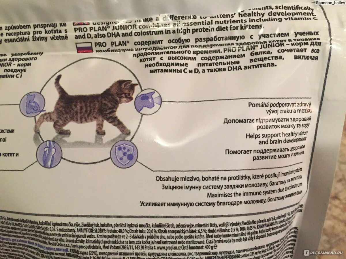 Можно давать стерилизованной кошке обычный корм. Классы кормов для кошек. Норма сухого корма для котят Проплан. Состав сухого корма для кошек. Исследование корма для кошек.