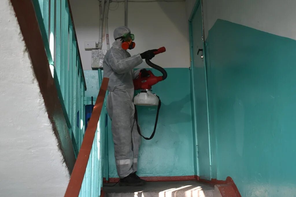 Протирание дезинфекция. Дератизация в подъезде. Уборка лифта. Дезинфекция подъездов в многоквартирном доме. Дезинфекция мкд.