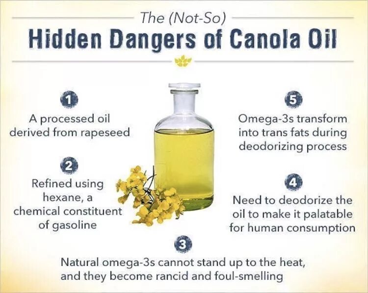 Масло смарт органик. Canola oil перевод. Канола для чего используют. Добро маслом. Canola oil перевод.