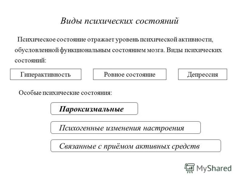 структура дисциплины безопасность жизнедеятельности. структура предмета бжд. схема система безопасности бжд. функциональная система органов. структура жизнедеятельности человека.