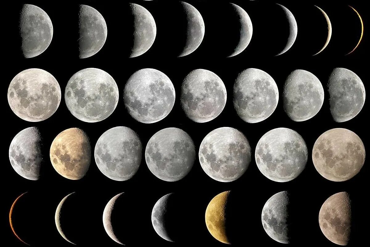 Moon states. Фазы Луны phases of the Moon. Фазы Луны новолуние растущая Луна полнолуние убывающая Луна. Ф̆̈ӑ̈з̆̈ы̆̈ Л̆̈ў̈н̆̈ы̆̈. Пятая фаза Луны.