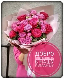 Добро пожаловать в команду
